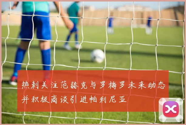 热刺关注范赫克与罗梅罗未来动态并积极商谈引进帕利尼亚