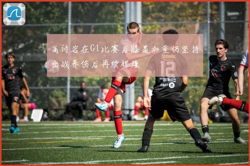 高诗岩在G1比赛后膝盖加重仍坚持出战养伤后再续辉煌